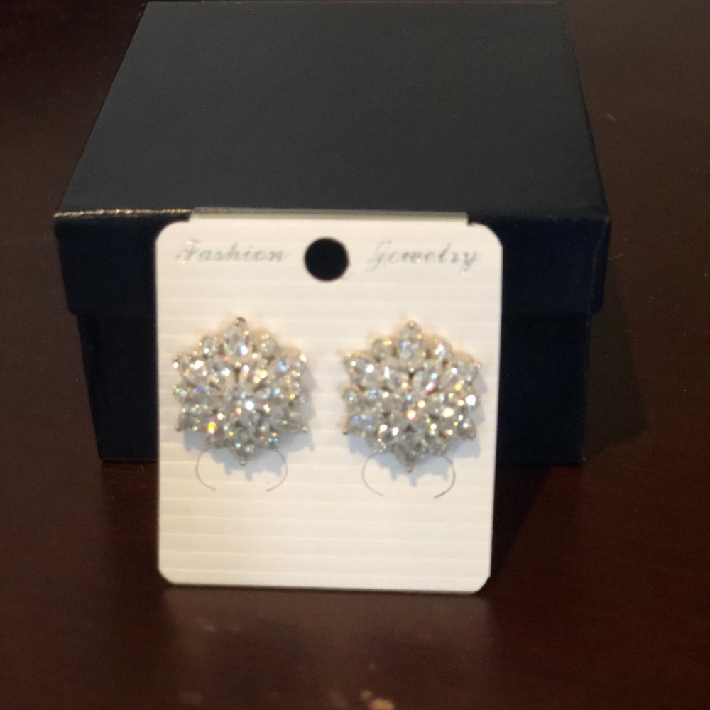 Silver/clear Fashion Earrings